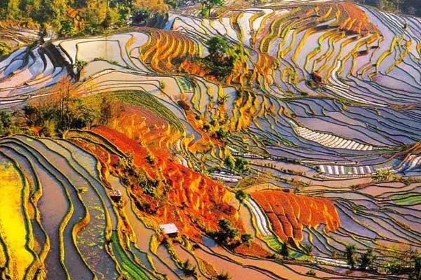 哈尼梯田最佳旅游時間 哈尼梯田最佳觀<a href='/jingdian/' target=_blank>景點(diǎn)</a>