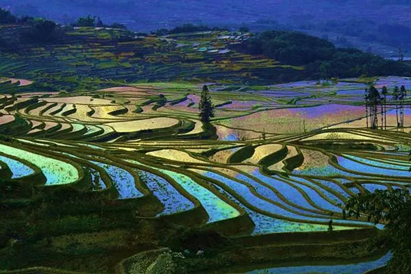 哈尼梯田最佳旅游時間 哈尼梯田最佳觀景點(diǎn)