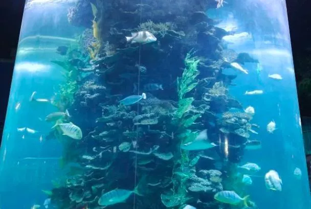 蓬萊海洋極地世界表演時間 蓬萊海洋極地世界表演時間