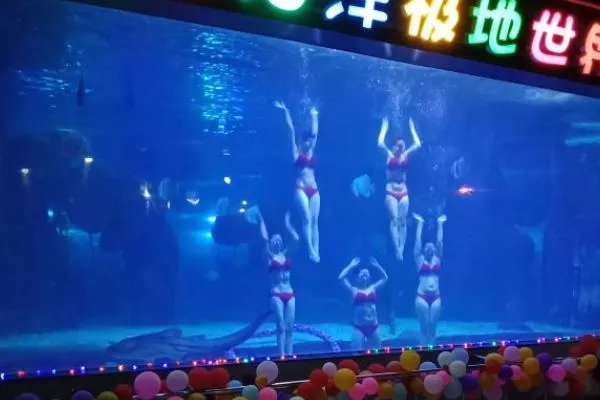 蓬萊海洋極地世界表演時間 蓬萊海洋極地世界表演時間