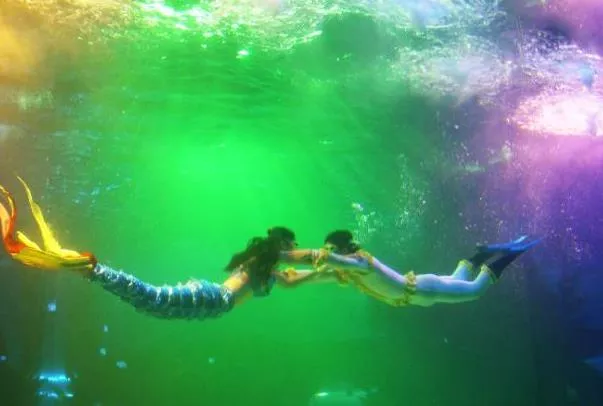 蓬萊海洋極地世界表演時間 蓬萊海洋極地世界表演時間